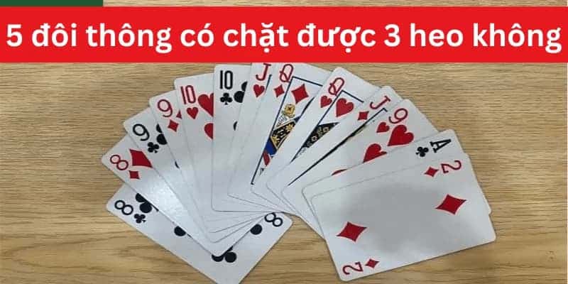 5 đôi thông chặt được 3 con heo không
