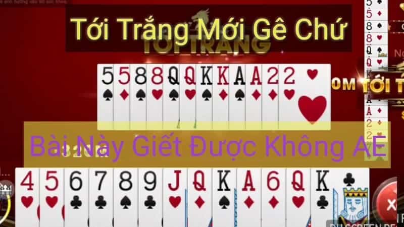 6 đôi thông có ăn trắng không? - Mẹo bỏ túi hay