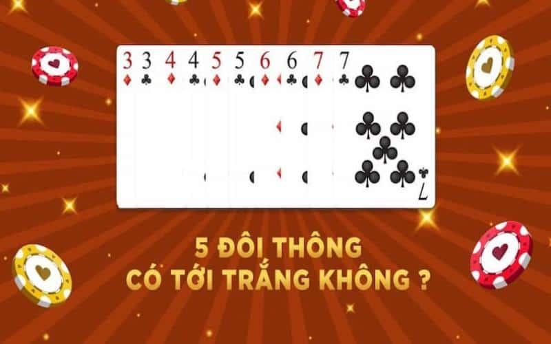 Giải đáp chi tiết thắc mắc 5 đôi thông có tới trắng không