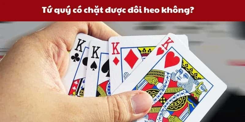 giải đáp tứ quý có chặt được đôi heo không