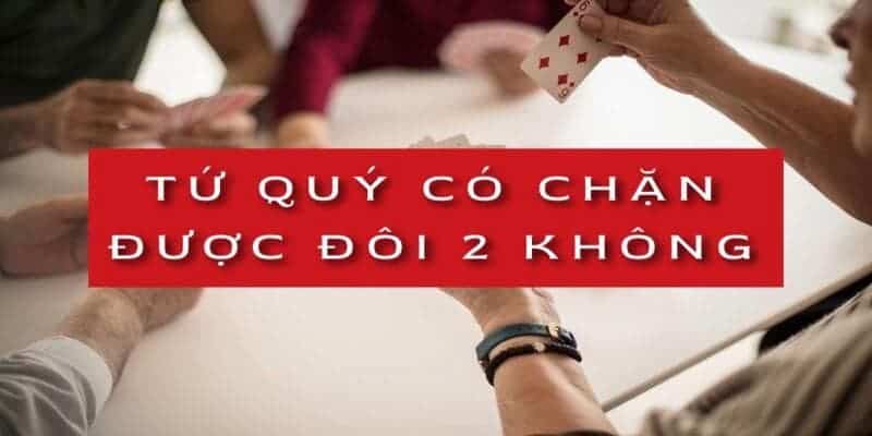 Tìm hiểu kỹ luật chơi tứ quý có chặt được đôi heo không