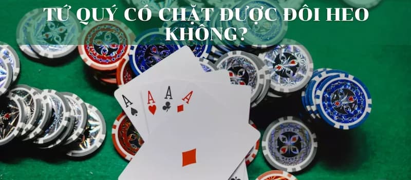 Tứ Quý Có Chặt Được Đôi Heo Không? Mẹo Đánh Hiệu Quả