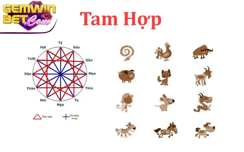 Tương hợp của 12 con giáp trong lô đề Tương hợp của 12 con giáp trong lô đề