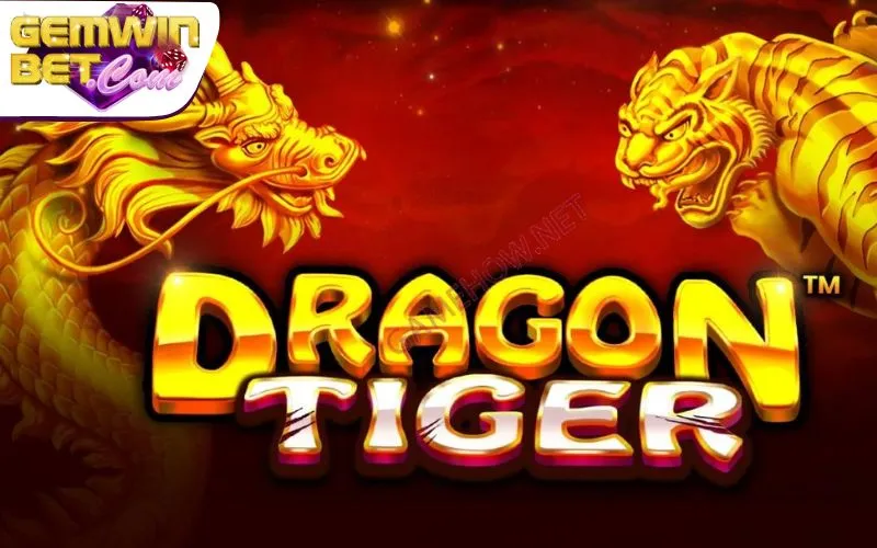 Lợi thế khi nắm được cách chơi rồng hổ Lợi thế khi nắm được cách chơi rồng hổ